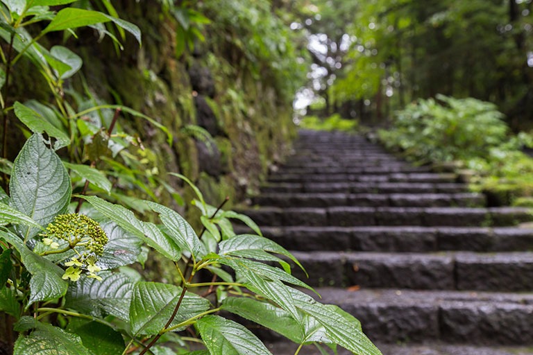 Stappenplan, wat te doen meteen na overlijden