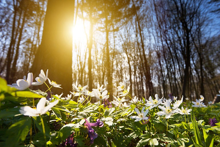 Wijzigingen doorgeven