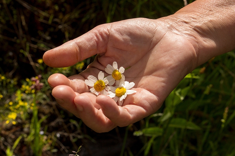 Duurzame keuzes voor uitvaartkleding en persoonlijke voorwerpen mee in de kist.